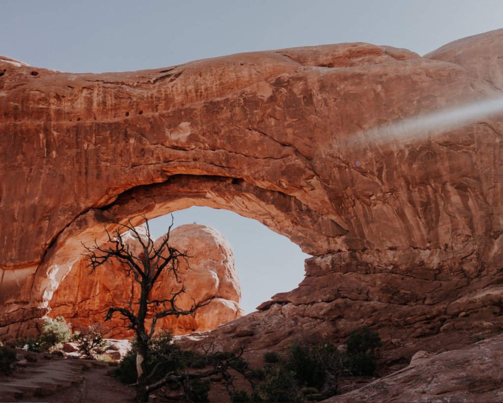 A gorgeour arch behind a brown tree, one of the Best Hikes in Arches National Park.