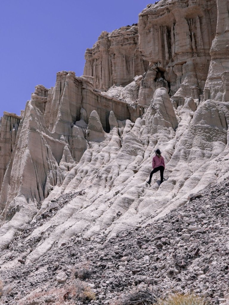 Monica in a Mojave desert region park of Southern California, with white rocks and cliffs.